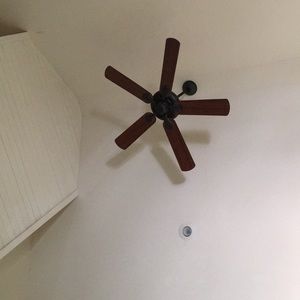 Meet your Posher, Colby